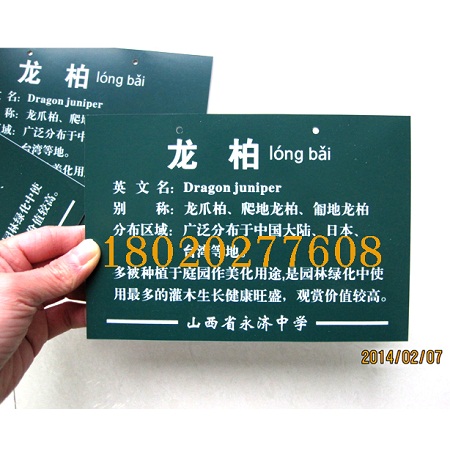 供应学校植物铭牌,学校树木挂牌定制