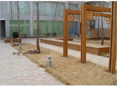 潍坊学校绿化公司||潍坊村庄绿化公司||潍坊街道绿化公司