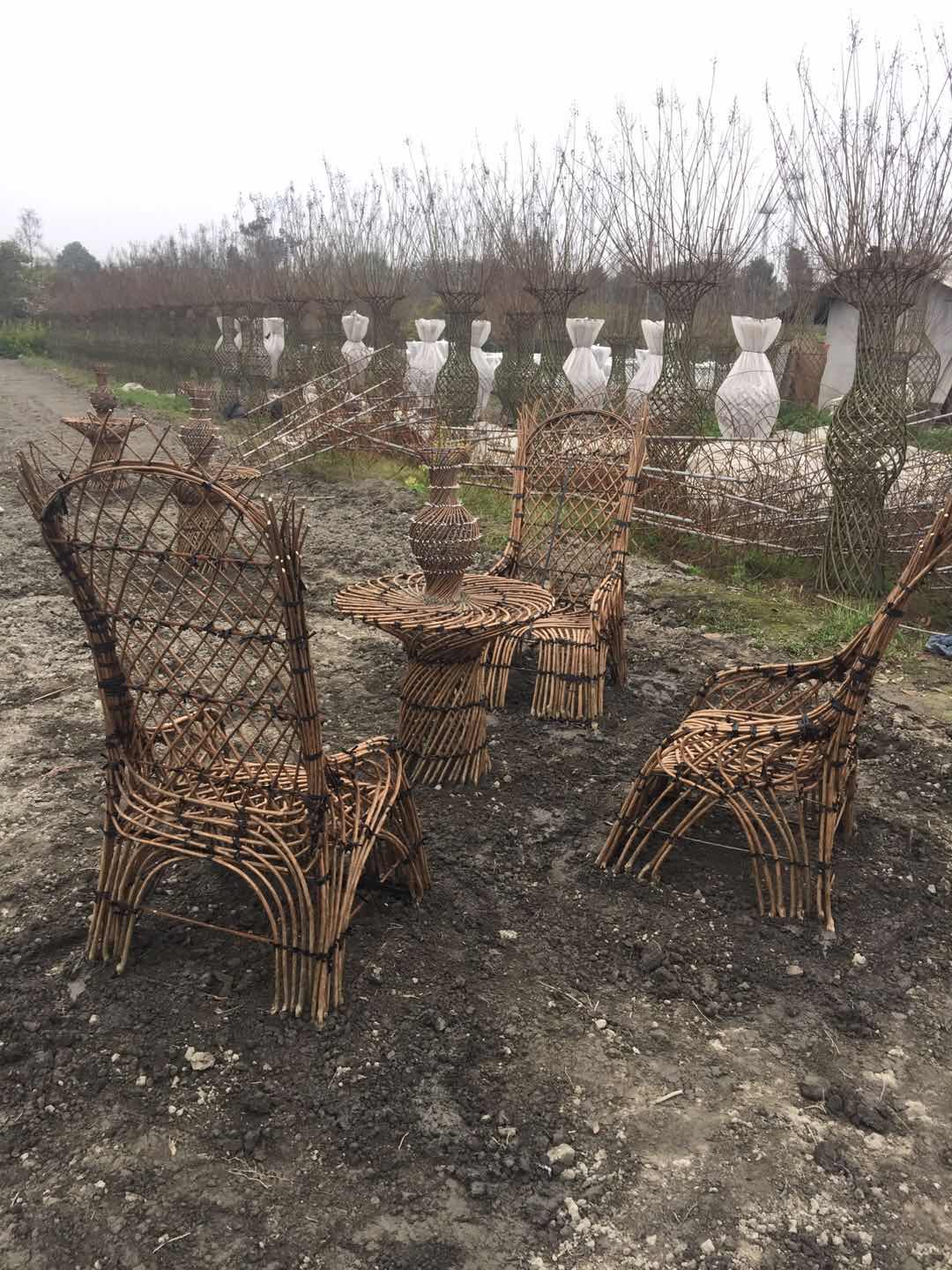 供应紫薇,紫薇批发,紫薇报价